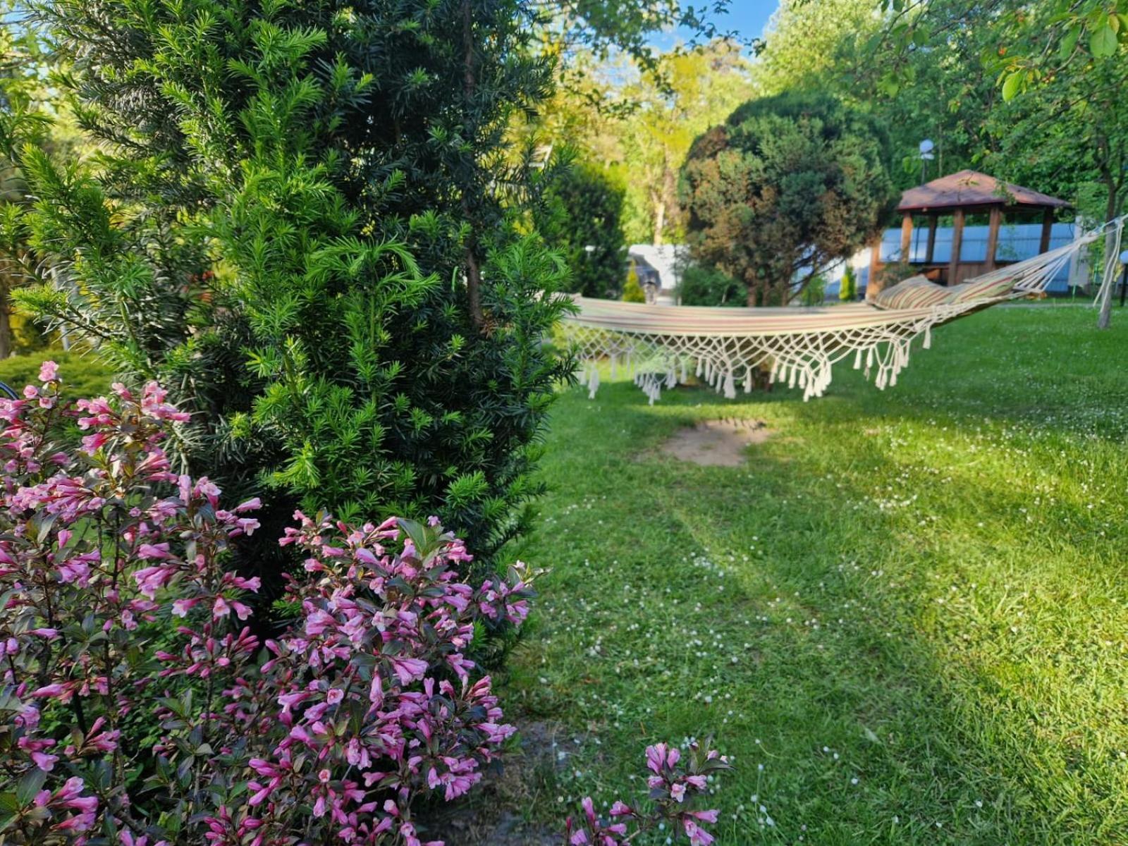 Villa Zenko Bryukhovychi Exterior photo